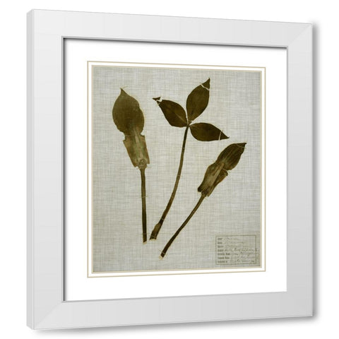 Pressed Leaves on Linen IV White Modern Wood Framed Art Print with Double Matting by Vision Studio