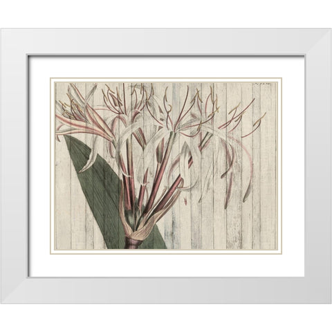 Rustic Floral I White Modern Wood Framed Art Print with Double Matting by Studio W