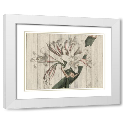 Rustic Floral II White Modern Wood Framed Art Print with Double Matting by Studio W