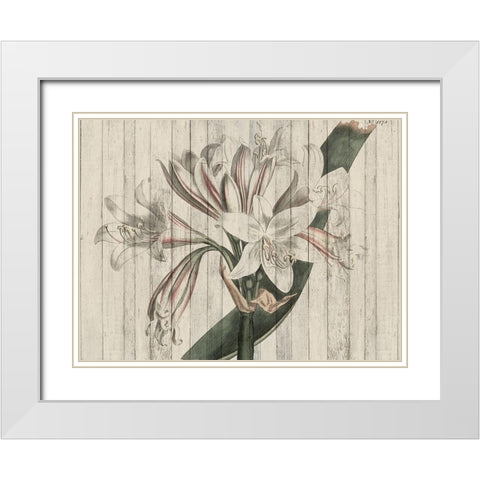 Rustic Floral II White Modern Wood Framed Art Print with Double Matting by Studio W