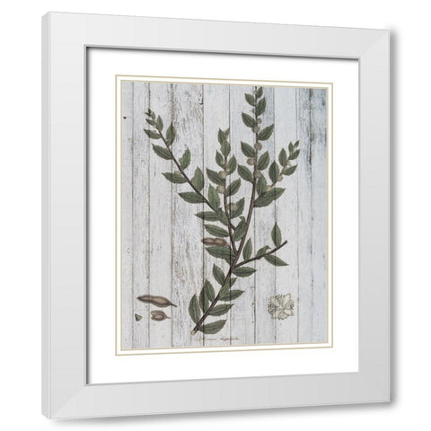 Rustic Greenery II White Modern Wood Framed Art Print with Double Matting by Studio W
