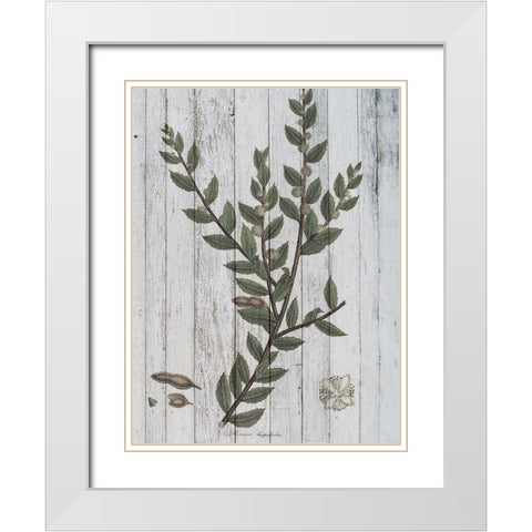 Rustic Greenery II White Modern Wood Framed Art Print with Double Matting by Studio W