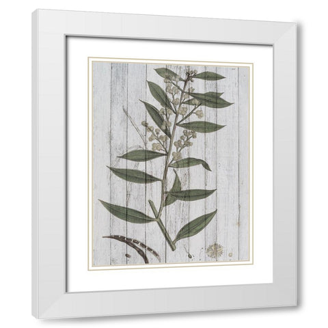 Rustic Greenery III White Modern Wood Framed Art Print with Double Matting by Studio W