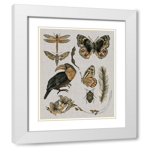 Nature Studies I White Modern Wood Framed Art Print with Double Matting by Wang, Melissa