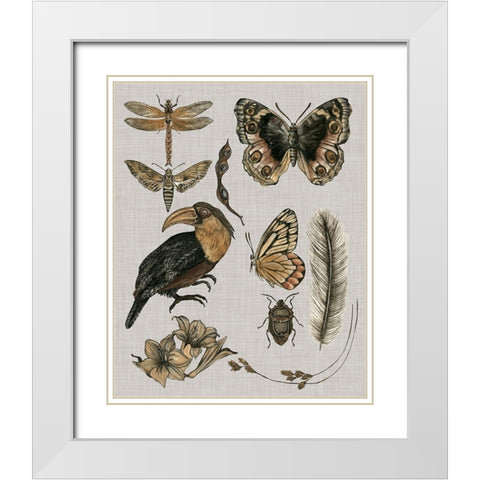 Nature Studies I White Modern Wood Framed Art Print with Double Matting by Wang, Melissa