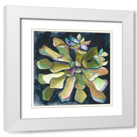 Succulent Rosette I White Modern Wood Framed Art Print with Double Matting by Zarris, Chariklia