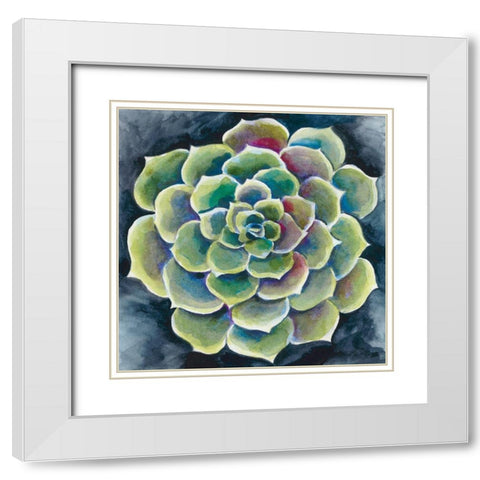 Succulent Rosette II White Modern Wood Framed Art Print with Double Matting by Zarris, Chariklia