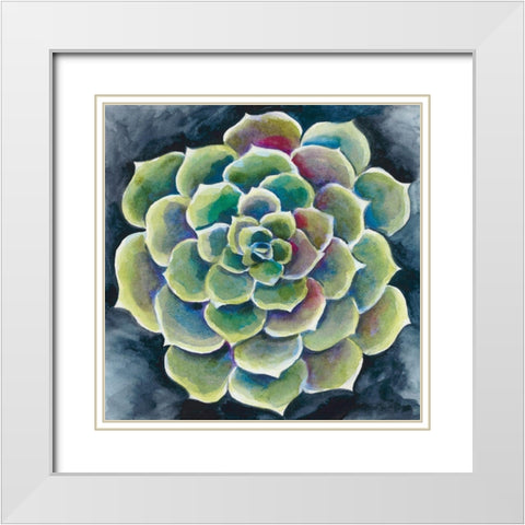 Succulent Rosette II White Modern Wood Framed Art Print with Double Matting by Zarris, Chariklia