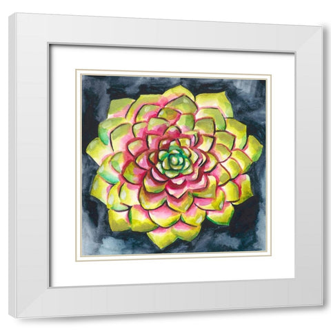 Succulent Rosette III White Modern Wood Framed Art Print with Double Matting by Zarris, Chariklia