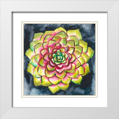 Succulent Rosette III White Modern Wood Framed Art Print with Double Matting by Zarris, Chariklia