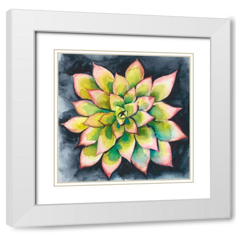 Succulent Rosette IV White Modern Wood Framed Art Print with Double Matting by Zarris, Chariklia