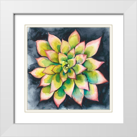 Succulent Rosette IV White Modern Wood Framed Art Print with Double Matting by Zarris, Chariklia