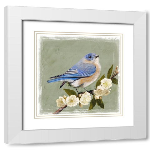 Bluebird Branch I White Modern Wood Framed Art Print with Double Matting by Borges, Victoria