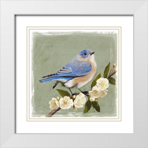 Bluebird Branch I White Modern Wood Framed Art Print with Double Matting by Borges, Victoria