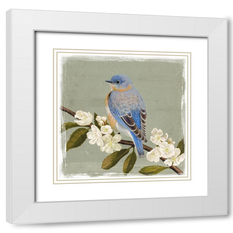 Bluebird Branch II White Modern Wood Framed Art Print with Double Matting by Borges, Victoria