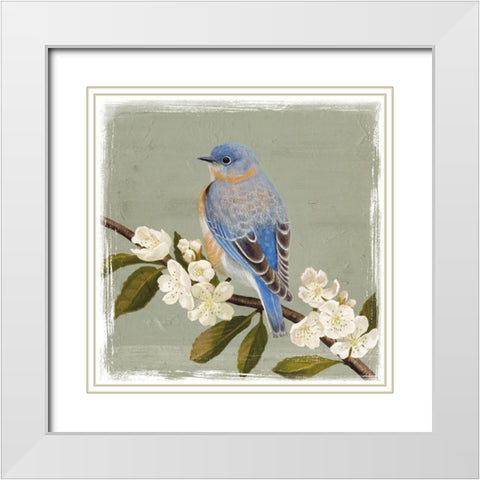 Bluebird Branch II White Modern Wood Framed Art Print with Double Matting by Borges, Victoria