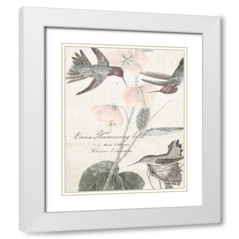 Soft Hummingbirds I White Modern Wood Framed Art Print with Double Matting by Studio W