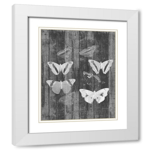 Rustic Butterfly Chart I White Modern Wood Framed Art Print with Double Matting by Goldberger, Jennifer