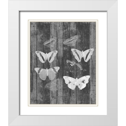 Rustic Butterfly Chart I White Modern Wood Framed Art Print with Double Matting by Goldberger, Jennifer
