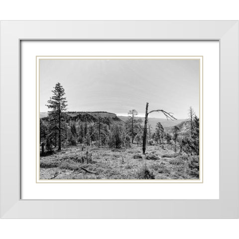 Canyon Lands V White Modern Wood Framed Art Print with Double Matting by Guthrie, Jenna