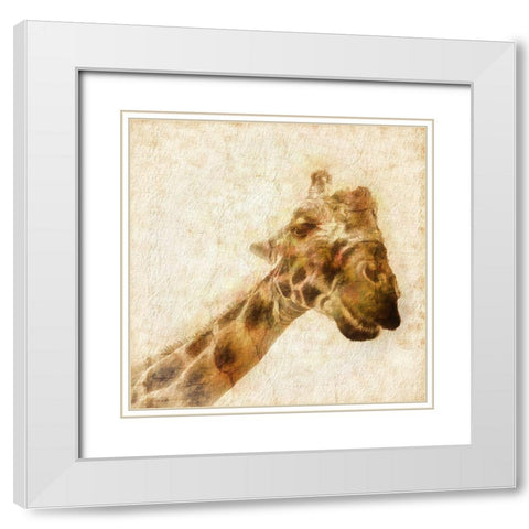 Inspektor II White Modern Wood Framed Art Print with Double Matting by Hartson-Weddle, Ryan
