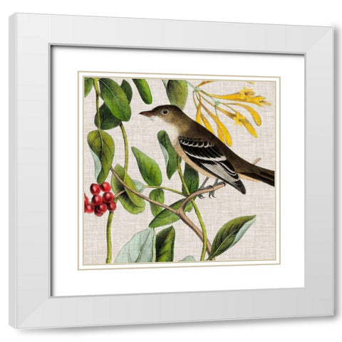 Avian Crop II White Modern Wood Framed Art Print with Double Matting by Audubon, John James