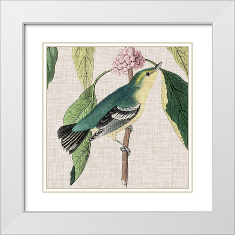 Avian Crop IV White Modern Wood Framed Art Print with Double Matting by Audubon, John James