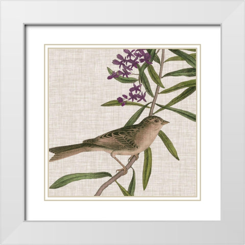 Avian Crop IX White Modern Wood Framed Art Print with Double Matting by Audubon, John James