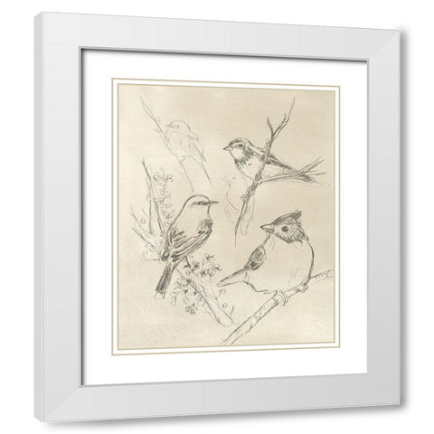 Vintage Songbird Sketch I White Modern Wood Framed Art Print with Double Matting by Vess, June Erica