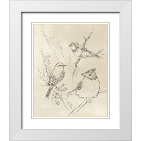 Vintage Songbird Sketch I White Modern Wood Framed Art Print with Double Matting by Vess, June Erica