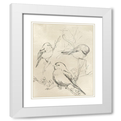 Vintage Songbird Sketch II White Modern Wood Framed Art Print with Double Matting by Vess, June Erica