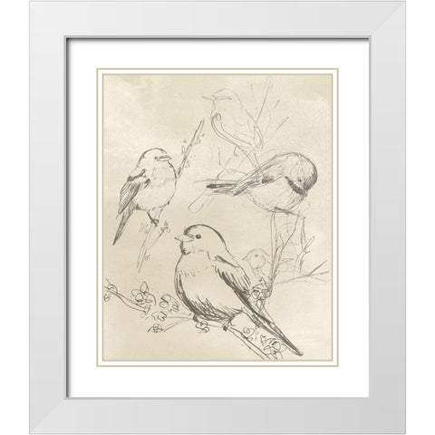 Vintage Songbird Sketch II White Modern Wood Framed Art Print with Double Matting by Vess, June Erica