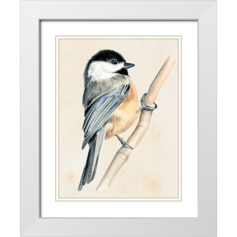 Little Bird on Branch II White Modern Wood Framed Art Print with Double Matting by Parker, Jennifer Paxton