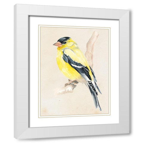 Little Bird on Branch III White Modern Wood Framed Art Print with Double Matting by Parker, Jennifer Paxton