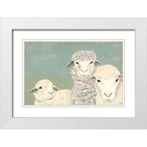 Bashful Sheep II White Modern Wood Framed Art Print with Double Matting by Reynolds, Jade