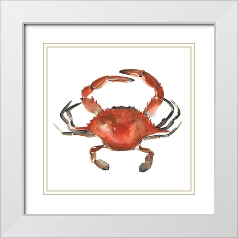 Watercolor Crab I White Modern Wood Framed Art Print with Double Matting by Scarvey, Emma