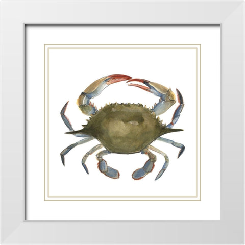 Watercolor Crab II White Modern Wood Framed Art Print with Double Matting by Scarvey, Emma