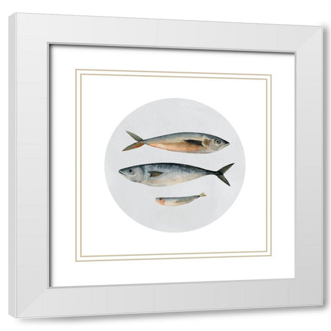 Three Fish I White Modern Wood Framed Art Print with Double Matting by Scarvey, Emma