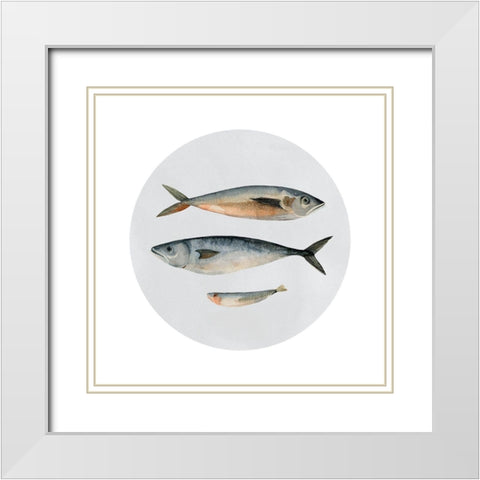 Three Fish I White Modern Wood Framed Art Print with Double Matting by Scarvey, Emma