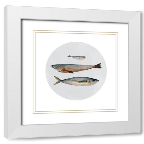 Three Fish II White Modern Wood Framed Art Print with Double Matting by Scarvey, Emma