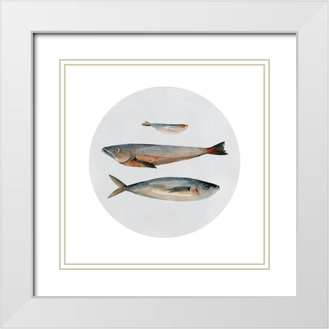 Three Fish II White Modern Wood Framed Art Print with Double Matting by Scarvey, Emma