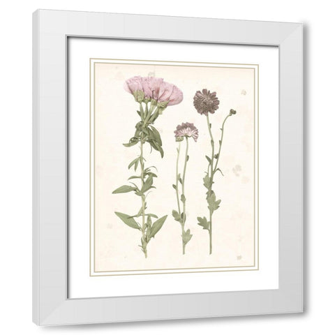 Pressed Blooms III White Modern Wood Framed Art Print with Double Matting by Popp, Grace