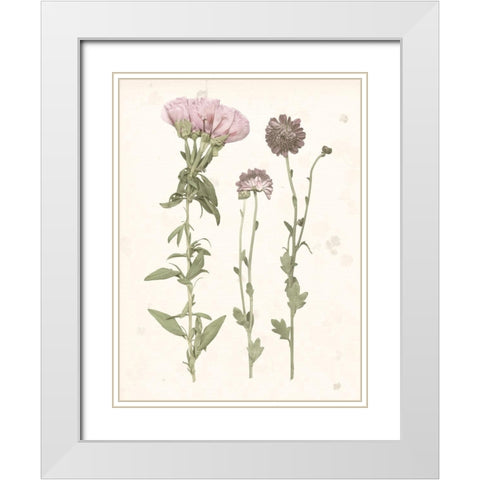 Pressed Blooms III White Modern Wood Framed Art Print with Double Matting by Popp, Grace