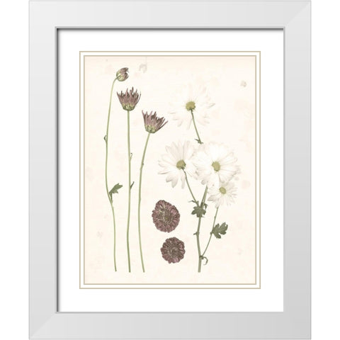 Pressed Blooms IV White Modern Wood Framed Art Print with Double Matting by Popp, Grace