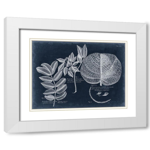 Foliage on Navy I White Modern Wood Framed Art Print with Double Matting by Vision Studio