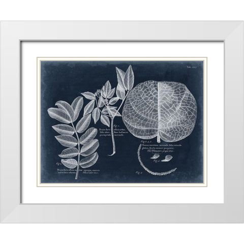 Foliage on Navy I White Modern Wood Framed Art Print with Double Matting by Vision Studio