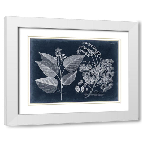 Foliage on Navy III White Modern Wood Framed Art Print with Double Matting by Vision Studio