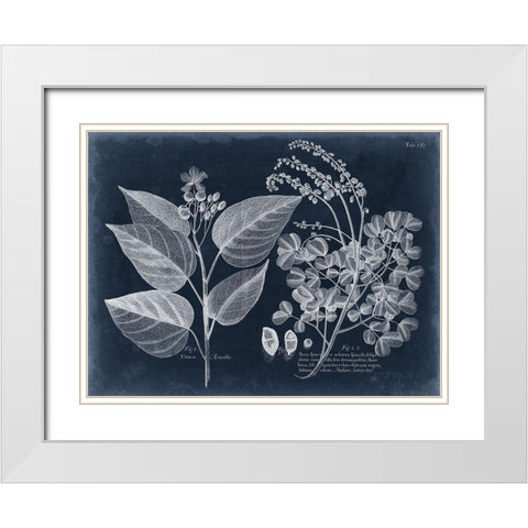 Foliage on Navy III White Modern Wood Framed Art Print with Double Matting by Vision Studio