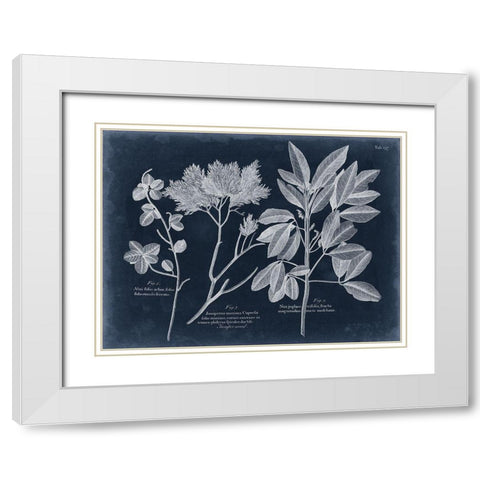 Foliage on Navy VI White Modern Wood Framed Art Print with Double Matting by Vision Studio