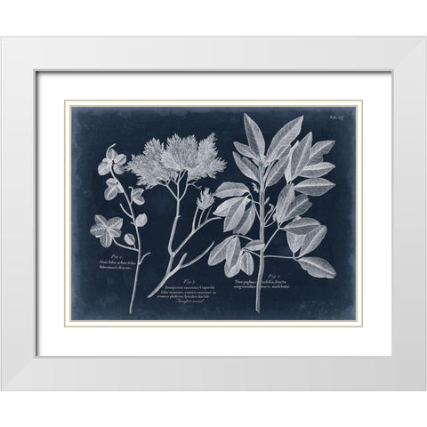 Foliage on Navy VI White Modern Wood Framed Art Print with Double Matting by Vision Studio